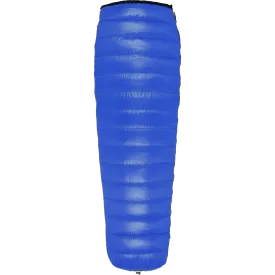 Alder MF Regular
