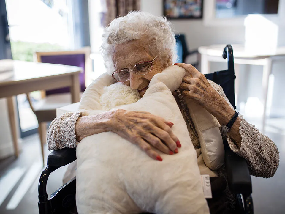 HUG - The Comforting Companion