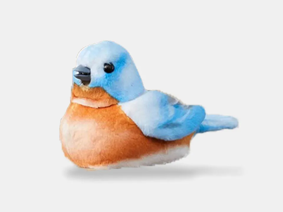 Walker Squawker Bird